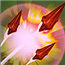 虚荣Vainglory花妖珮兔出装加点攻略