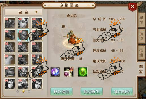 问道手游宠物金头陀属性介绍与培养攻略