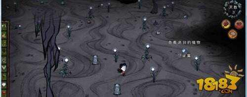 饥荒单机版联机版物品及机制区别图文对比(4)