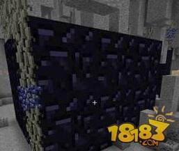 我的世界暮色森林魔豆怎么种_18183我的世界