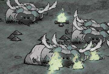 饥荒里牛剃完毛在冬天会不会冻死-饥荒游戏冬