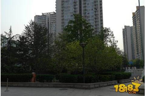 自主核心品质升级 荣耀畅玩5C抢先体验(3) 18