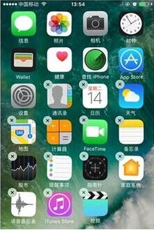 ƻiOS/iPhoneԭӦǧɾ