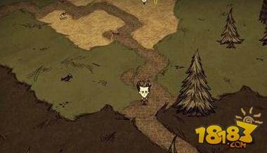 如何布置陷阱抓鸟-怎样布置抓鸟陷阱