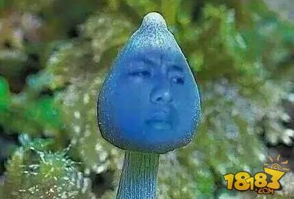 蓝瘦香菇什么意思 蓝瘦蘑菇是什么梗 18183An