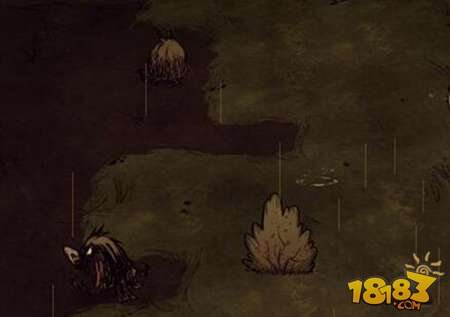 饥荒灌木帽怎么得 灌木帽使用方法介绍_1818
